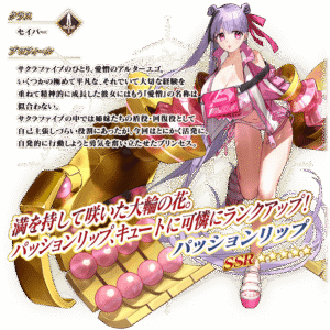 【FGO】水着パッションリップ性能とスキル・最終再臨画像公開!全体NP配布&超巨大特攻宝具が魅力の星5セイバーでっかいぞ! 5 servant details l 01 2